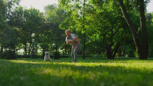 Attractive owner throwing ball in park. Energetic dog catching toy with mouth.