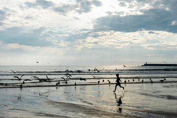 Boy running along the beach at sunset amidst a crowd of seagulls soaring overhead
