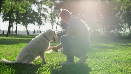 Focused dog give paw to owner with open hand in park. Training process outdoors