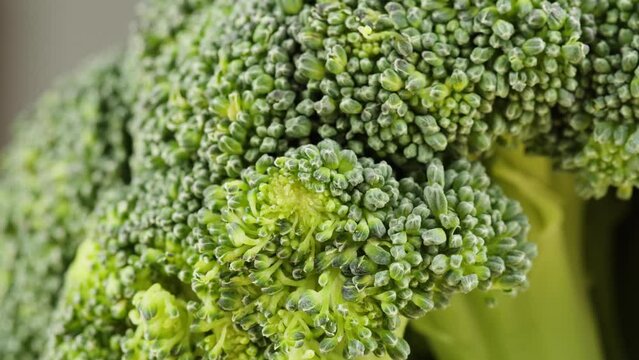 Broccoli close-up, fresh green broccoli, vitamins, raw food and vegetarian lifestyle concept.