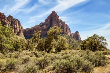 Looking towards The Watchman cliff from Watchman Trail loop in the desert of Zion National Park, Utah, USA