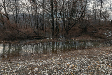 The autumn sky is reflected in the water. A rare forest in winter on a cloudy day in the foothills of the Caucasus. Landscape on a cloudy day.