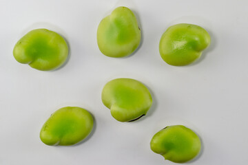 Seed of broad bean (Vicia faba)