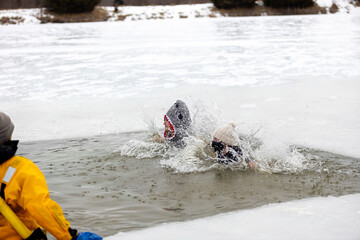 polar plunge