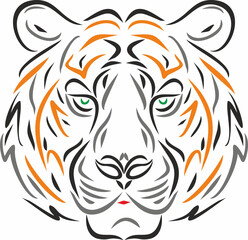Vector colored outline of the muzzle of a tiger. Linear pen drawing of an animal.
