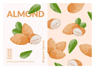 Almond packaging design templates, watercolour style vector illustration.