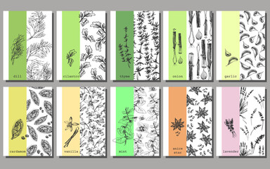 366_set of spices, label_set of ten labels for spices, template, dill, cilantro, cumin, onion, garlic, cardamom, vanilla, mint, cinnamon, lavender sketch, graphics, for meat, for baking,