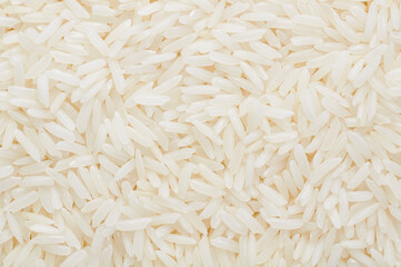 close up of rice
