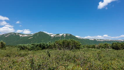 Fototapeta na wymiar A picturesque mountain range against the blue sky. Patches of melted snow are visible among the green vegetation. Lush grasses and shrubs grow in the valley. A sunny summer day. Kamchatka.