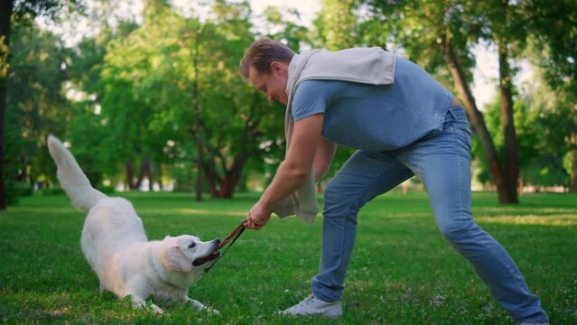 Playful dog hold leash in teeth playing. Smiling man pulling rope in park.