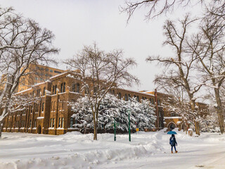 View of the Hokkaido University in snow, Sapporo City , Hokkaido, Japan.