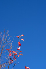 Rocky Mountain National Park