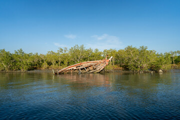 ship wreck on shore near swamp forest and clean water