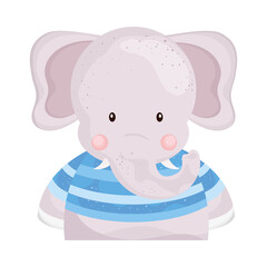 cute animal elephant