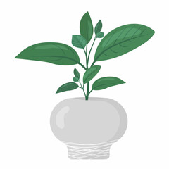 Houseplant in a pot. Fashion home decor Vector illustration isolated on white background