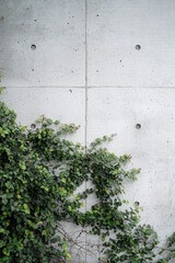 コピースペースとつた