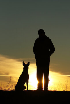 Silhouettes of a man and a dog on a sunset background, the owner walks with his pet in nature, Belgian Shepherd Malinois dog