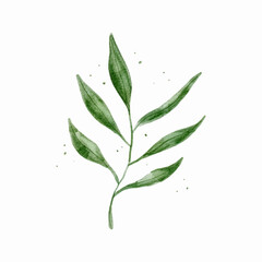 Watercolor leaves illustration. Digital paint. Vector illustration.