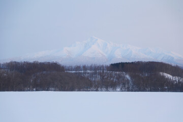 Fototapeta na wymiar 冬の斜里岳