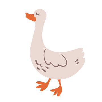 Goose. Farm Pet. Vector cartoon illustration, isolated element.