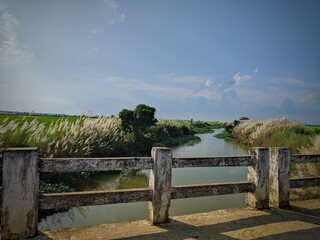 white bridges over small river. Reflection at water surface, Perspective view of wooden pier at lake. Small bridge in water, A new bridge across a small river,india.