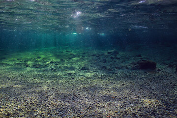 underwater fresh water landscape, mountain lake ecosystem background in summer, under water view