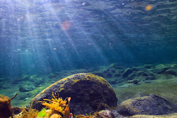underwater fresh water landscape, mountain lake ecosystem background in summer, under water view