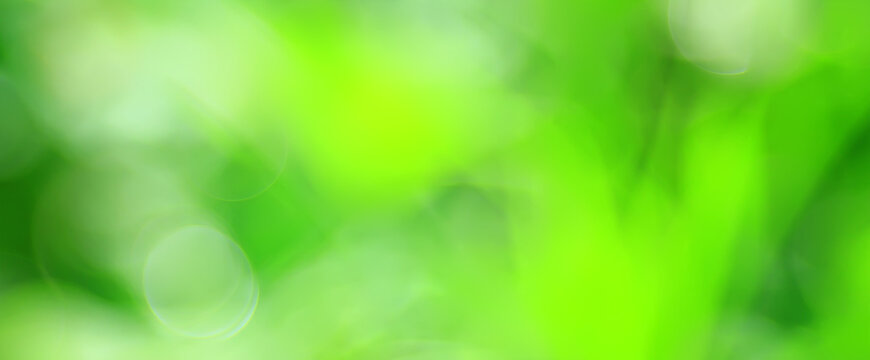 green background, panoramic view long blurred gradient green summer abstract