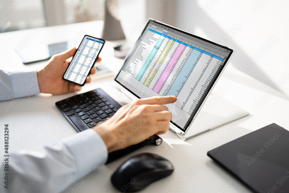 Poster Electronic Spreadsheet Analyst Or Auditor Using Software
