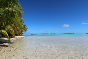 Plakat ,Beach in a tropical island from French Polynesia 