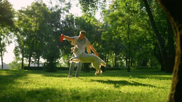 Attractive man teasing golden retriever in park. Friends playing on daily walk 