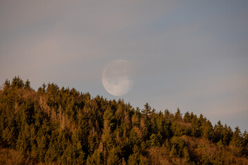 Vollmond 