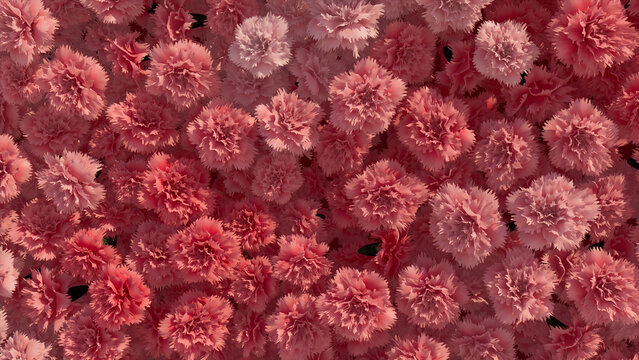 Beautiful Flowers arranged to create a Romantic wall. Pink, Vibrant Background formed from Colorful Carnations. 3D Render