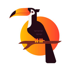 toucan illustration vector © Oleg and Polly
