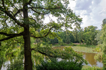Fototapeta na wymiar Bad Homburg, Germany – lake in the park.