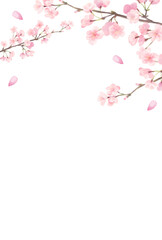 水彩風の優しい色合い桜