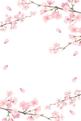 水彩風の優しい色合い桜