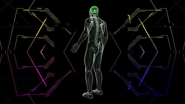 Male full body holographic rotation HUD motions