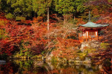 京都市にある、醍醐寺の弁天堂周辺の紅葉