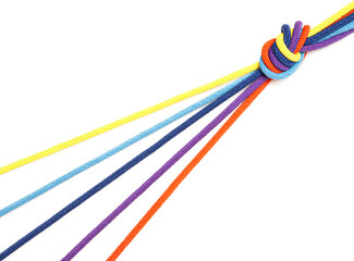 Five multi-colored cords come together in one knot