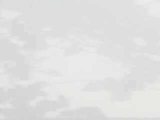 Fototapeta premium The shadow of the sun shining through the wood