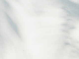 The shadow of the sun shining through the wood