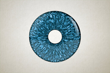 Iris illustration, human eye structure