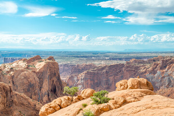 A panoramic view in Canyonlands National Park in Utah.