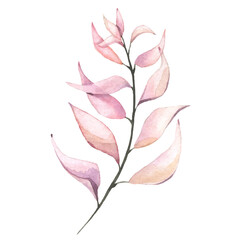 Watercolor floral pink and orange twig. Vector traced isolated brunch illustration