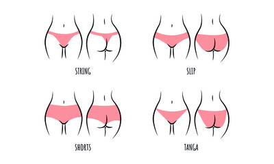Types of Women's panties icon set.  Sketch clothing underwear items. Silhouette buttocks. String,  brazilian, culottes, bikini. Vector