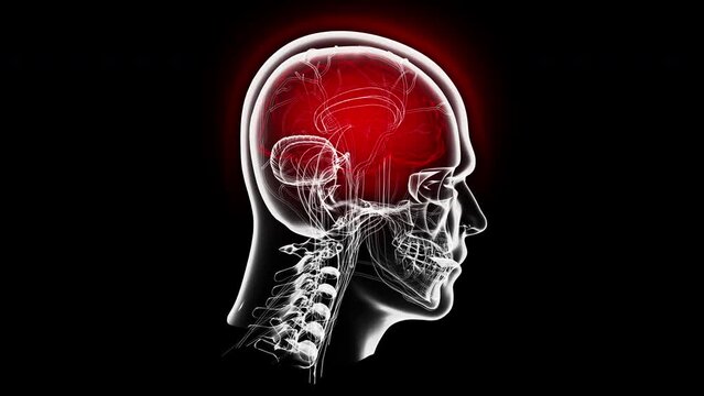 Human Brain Mental waves Power Head Shot mograph