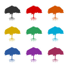Tree root icon or logo, color set