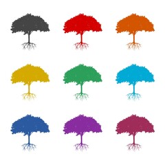 Tree root icon or logo, color set