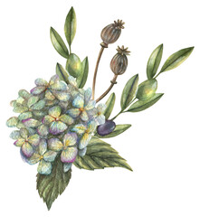 Watercolor illustration of a ready-made bouquet of hydrangea flowers, leaves and olive berries on a white background